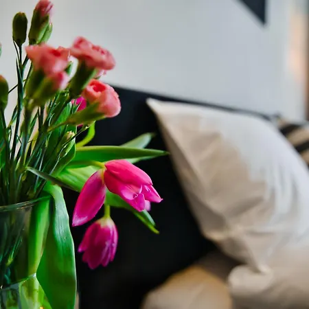 Laguna Beskidow - A33 *